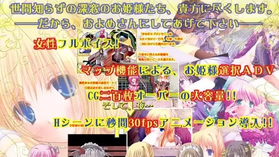 おねだり☆Princess ～Hのお勉強=游戏截图2