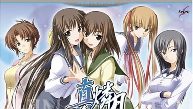 真・燐月游戏截图2