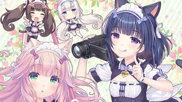 猫娘乐园 After icon