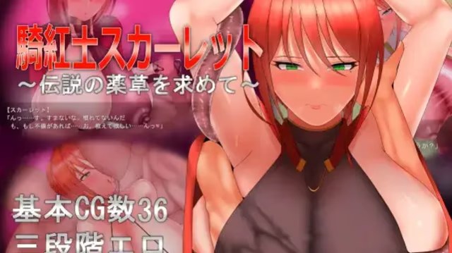 骑红士斯卡蕾特～寻求传说中的药草～游戏截图2
