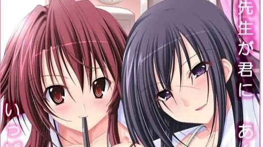 艶女医～2人のエッチな女医とエロエロ研修体游戏截图2