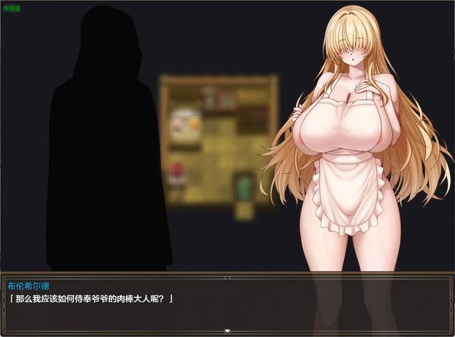 戰乙女與淫蕩妖精之町游戏截图5