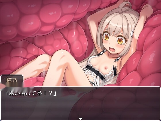 幻想馆的新娘 vol.2 ～被软禁的JK想从变态游戏截图5