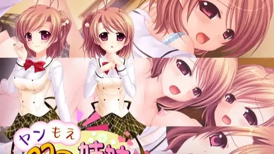 ヤンもえ双子姉妹～病んで孕んで愛されて…～游戏截图2
